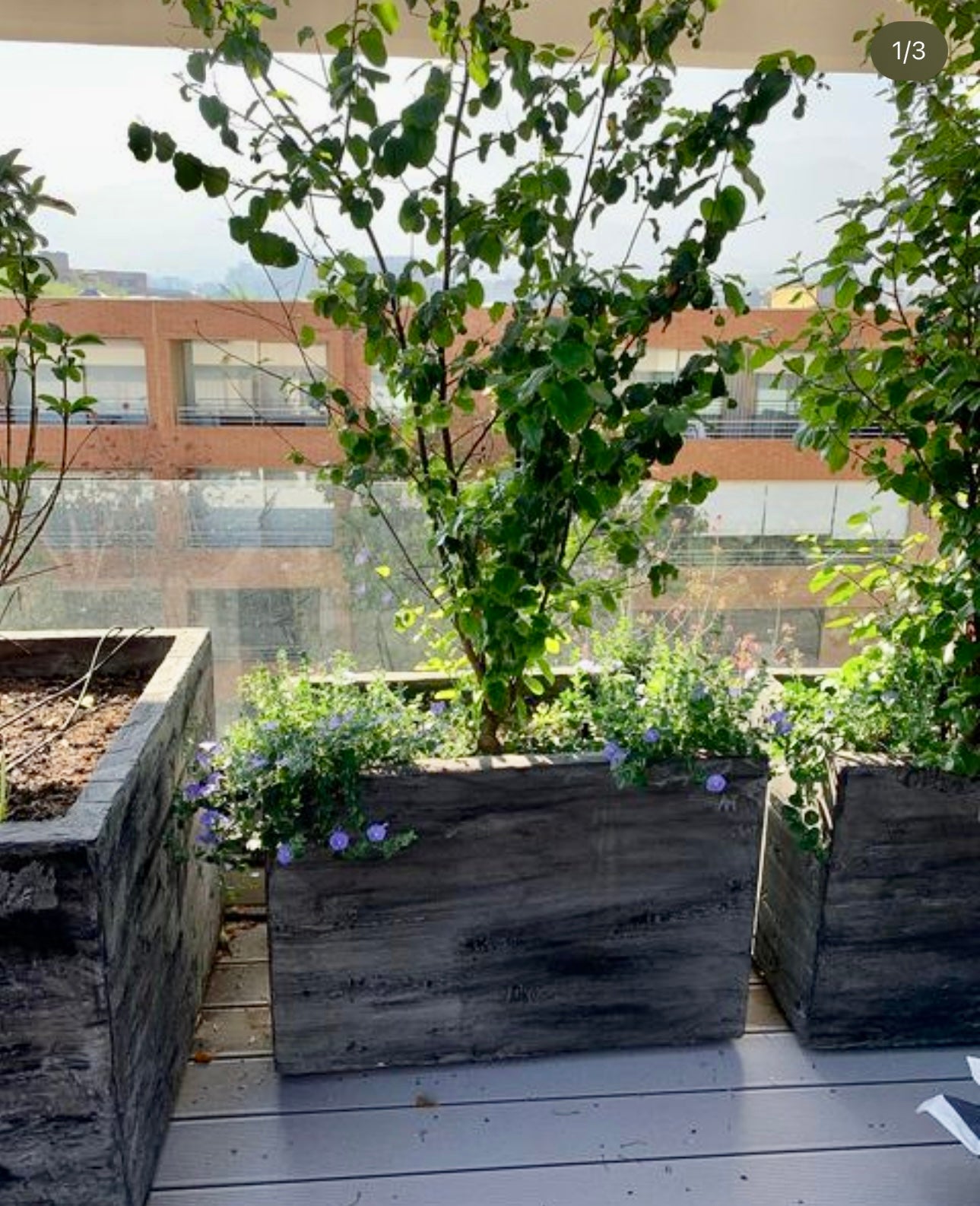 Jardineras