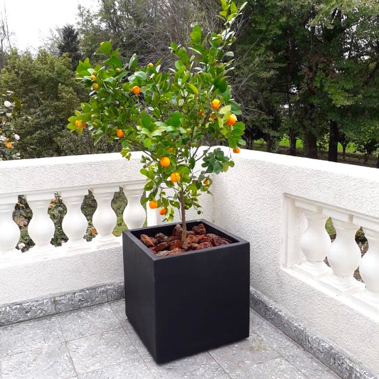 Macetero Cubo