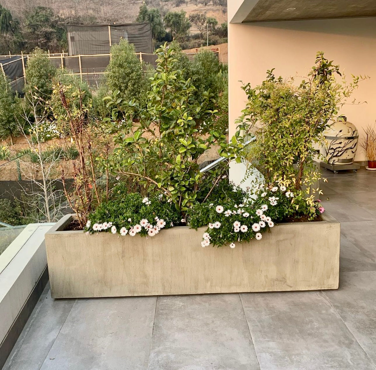 Jardineras