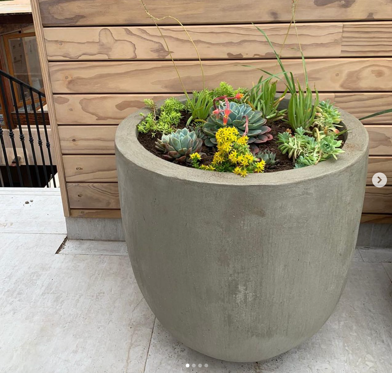 Macetero Bowl
