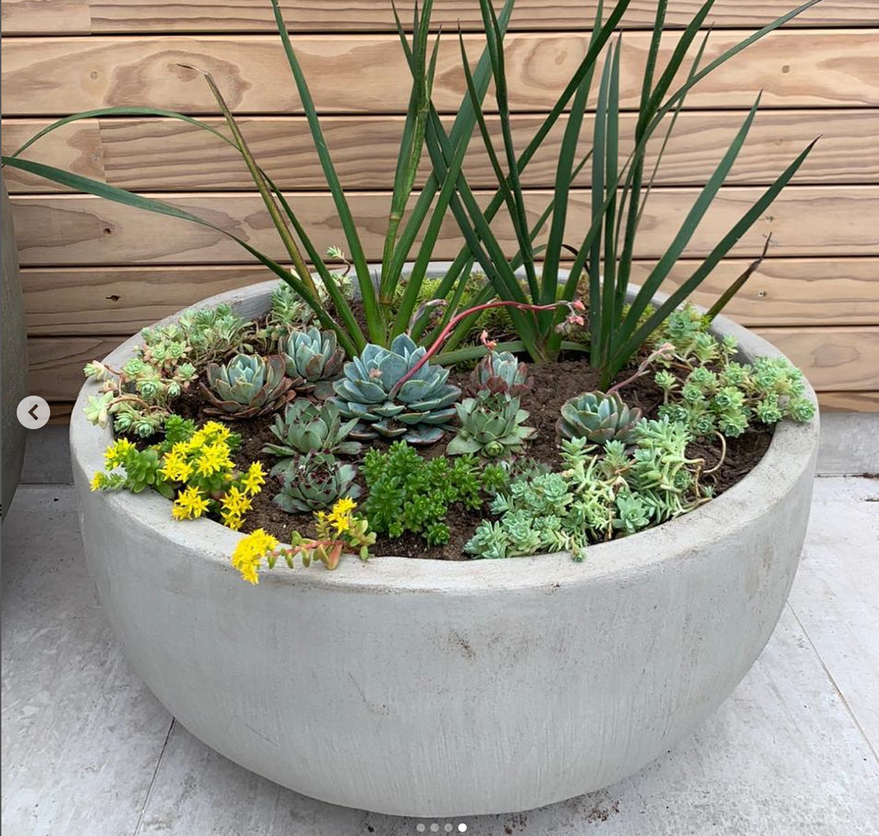 Macetero Bowl