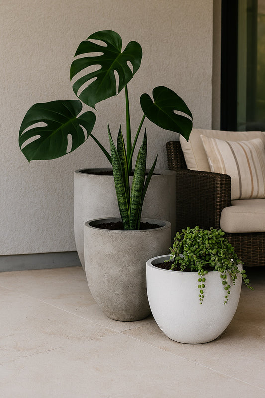 Super Pack Bowls (3 unid)